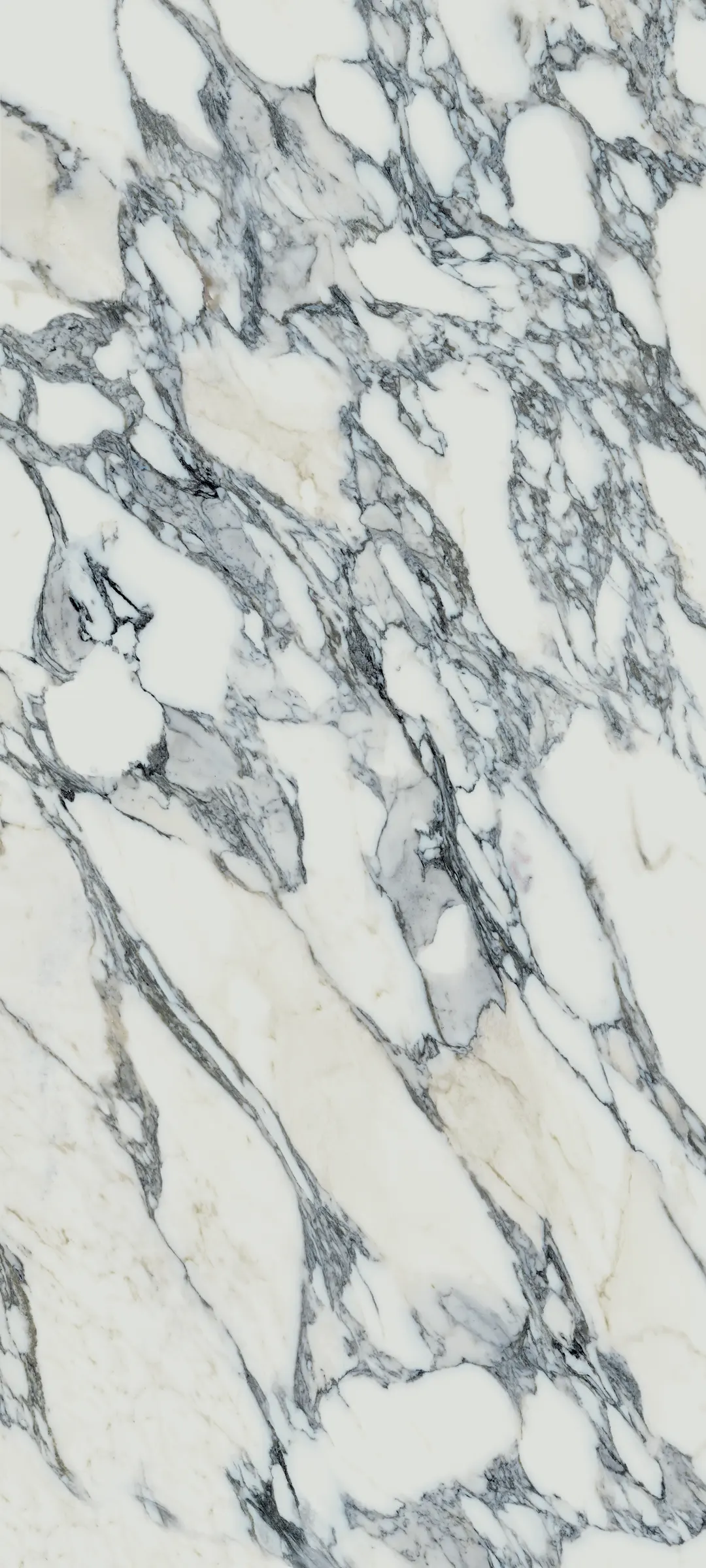 Marmi Arabesque Nero 80x180cm